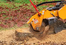 Tree and Shrub Care in Morrice, MI